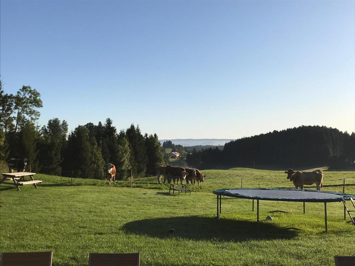 Gmeinder'S Landhaus Immenstadt im Allgäu Zewnętrze zdjęcie